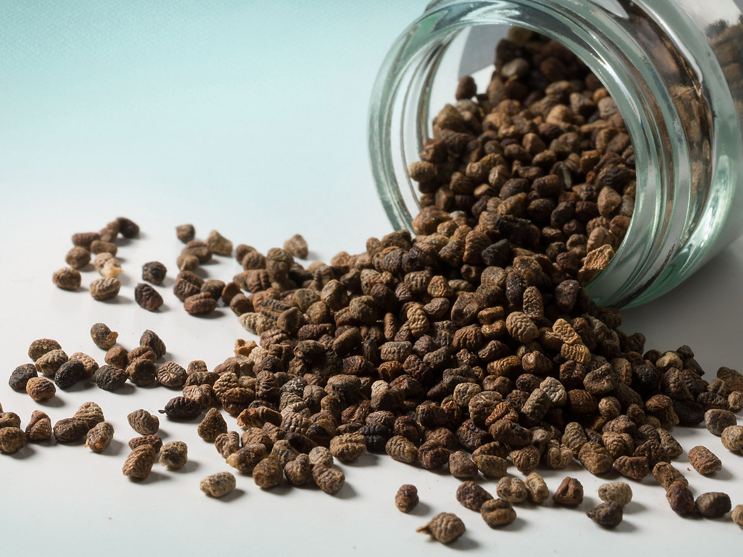 Kardamom loupaný 20g