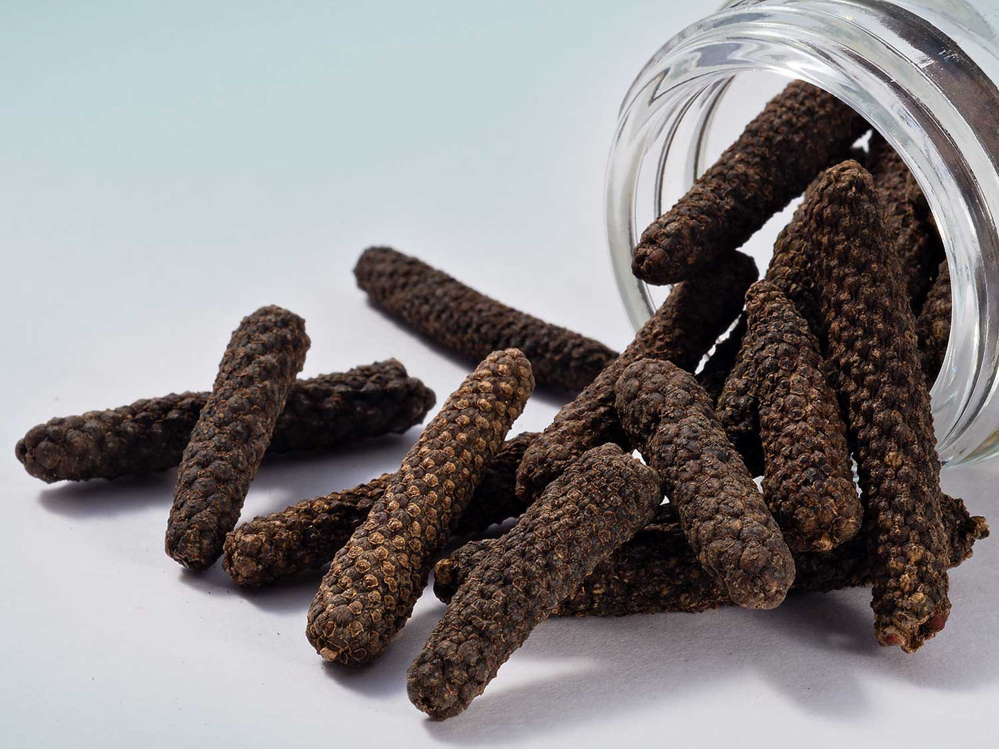 Jávský pepř dlouhý 40g