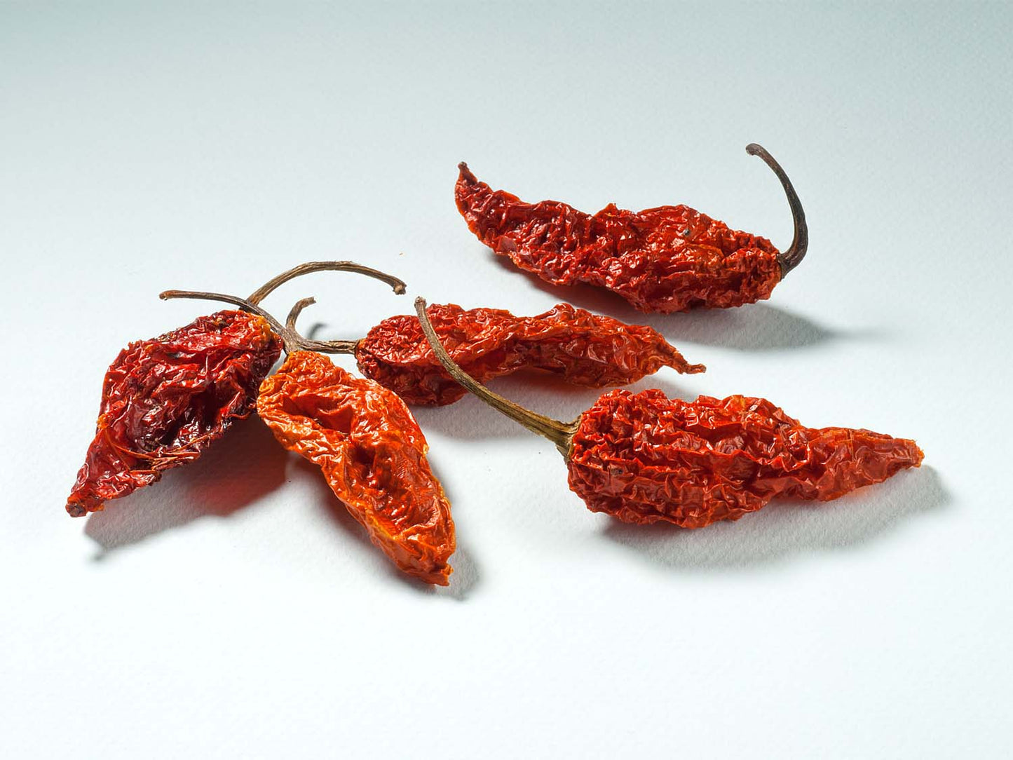 Naga Bhut Jolokia uzená celá 10g
