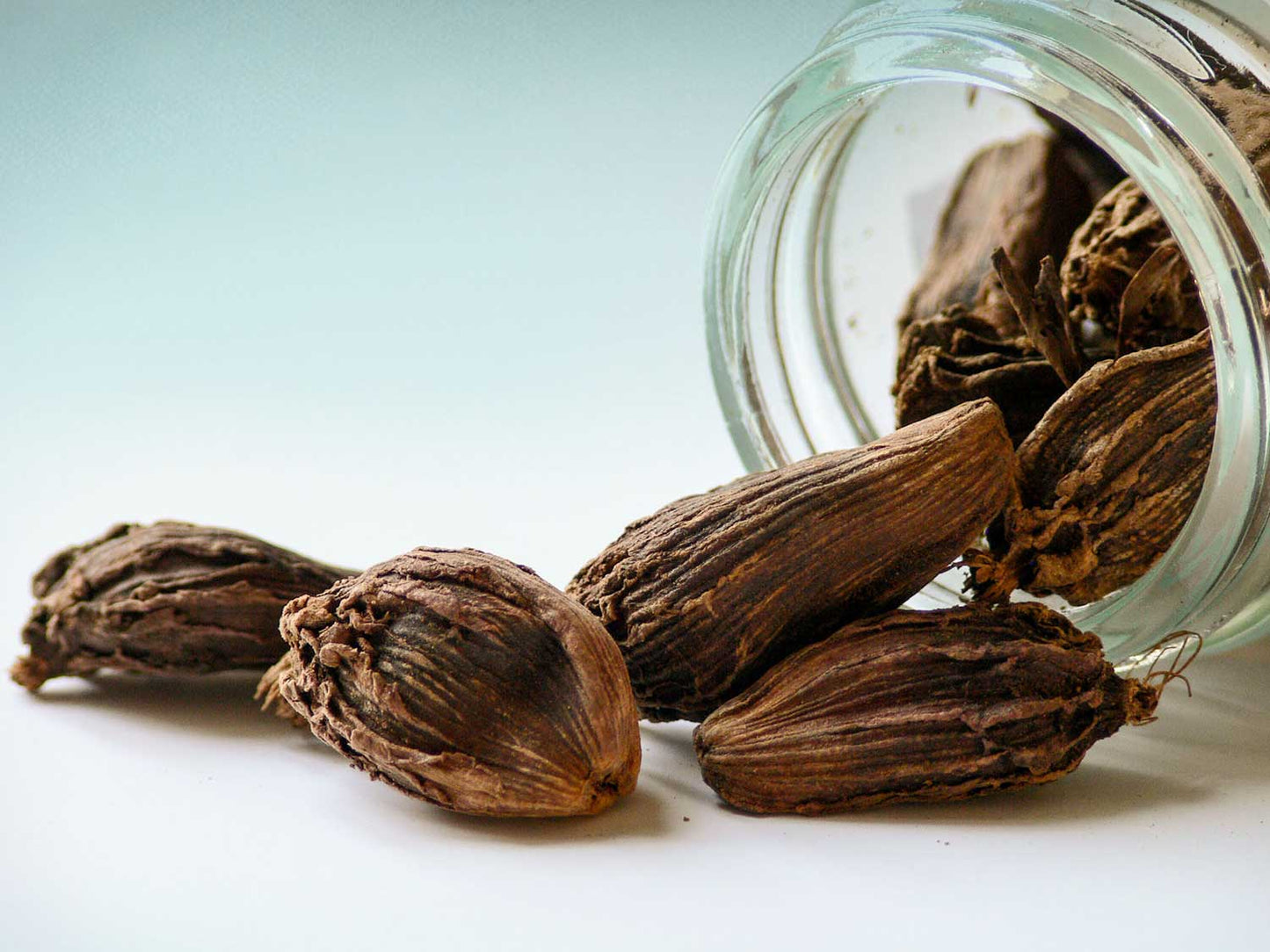 Černý kardamom 20g